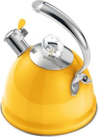 Tea Kettle Stovetop, 2.5 QT Whistling Stainless Steel Teapot, 3-Layer Base, Unique Ergonomic Handle, Includes Pot Holder & Mat